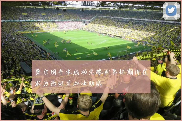 费尔明手术成功无缘世界杯期待在家为西班牙加油助威
